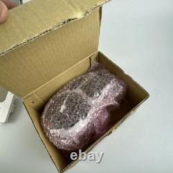 YAMAHA YZF R1 98 99 SPEEDOMETER SPEEDOMETER 4xv-83570-00 E0101